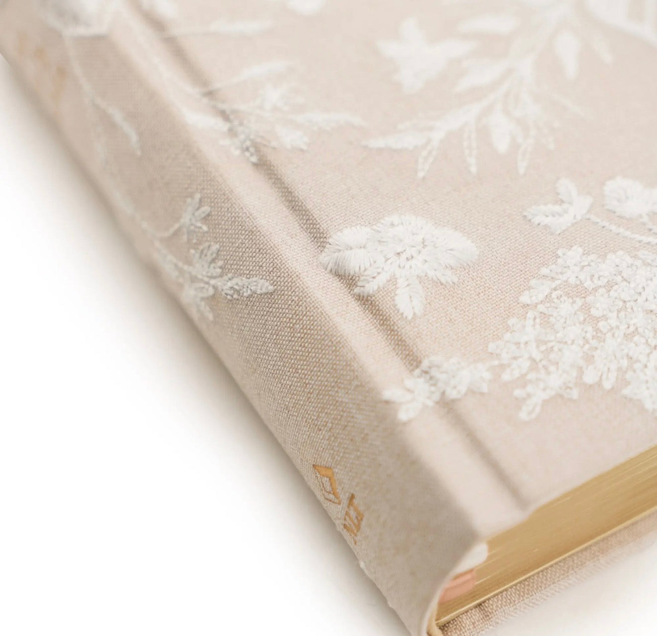 NLT Compact Bible: Casablanca Theme