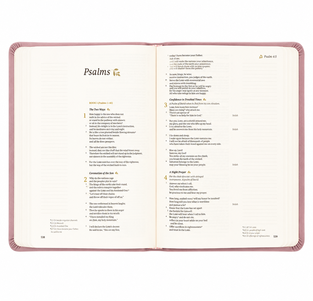 Csb Notetaking Bible: Mauves Theme