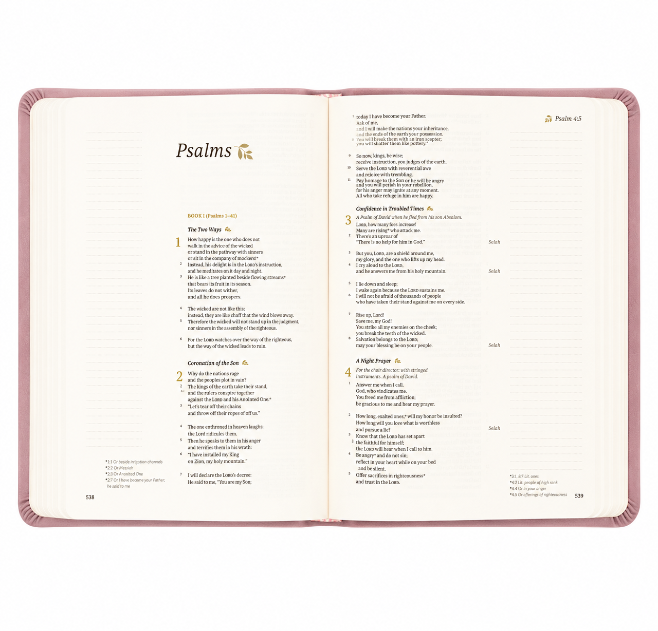 Csb Notetaking Bible: Mauves Theme