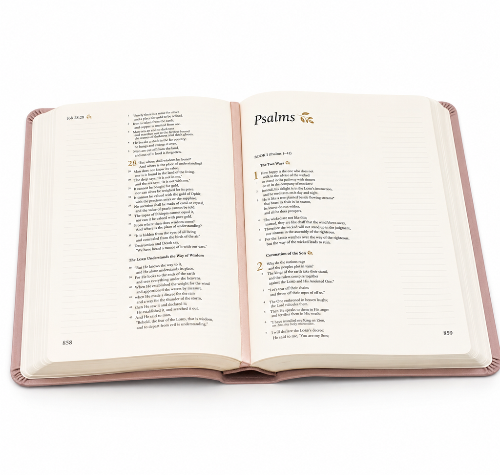 Csb Notetaking Bible: Mauves Theme