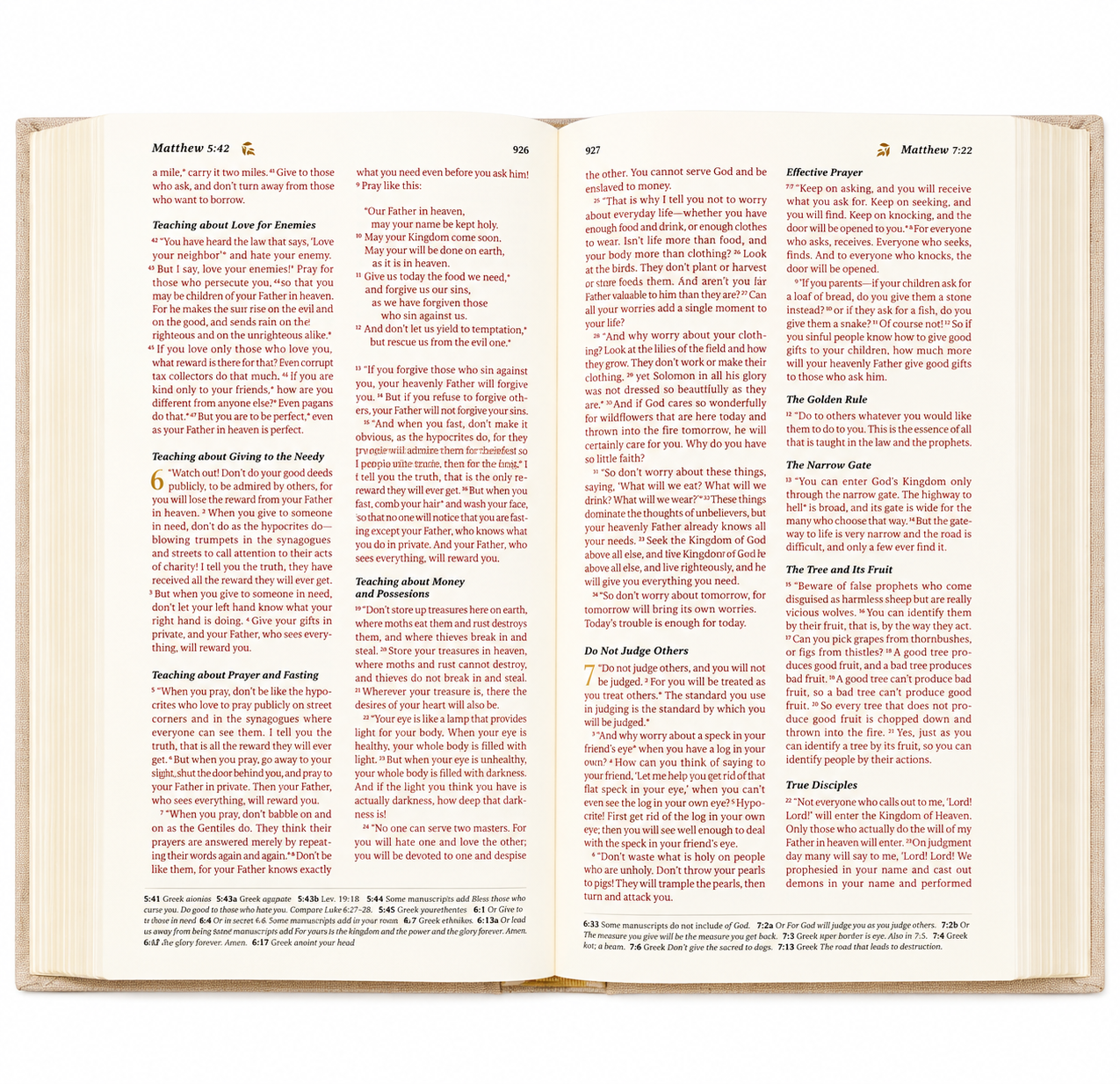 NLT Compact Bible: Casablanca Theme